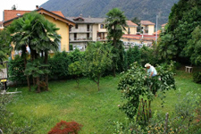 giardino